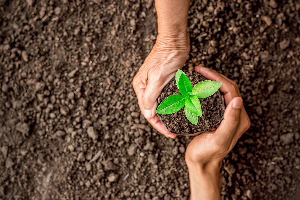 Sustainable agriculture